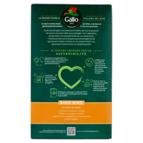 GALLO RISO RIBE 1KG - immagine 2