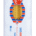RUSSO DI CICCIANO TRIPOLINE 500 GR