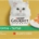 PURINA GOURMET GOLD TORTINI POLLO E CAROTE, MANZO E POMODORI 4X85GR