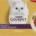 PURINA GOURMET GOLD STRACCETTI MANZO E POLLO 4X85GR