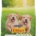 FRISKIES CANE JUNIOR POLLO E VERDURE KG.1,5