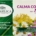 L'ANGELICA TISANA CALMA COLON ACTIVE 36GR
