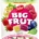 DUFOUR BIG FRUT BOSCO 150GR