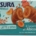 MISURA CORNETTI PRIVOLAT ALBICOCCA 298GR