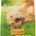 FRISKIES NUTRISOFT MANZO KG.1,5