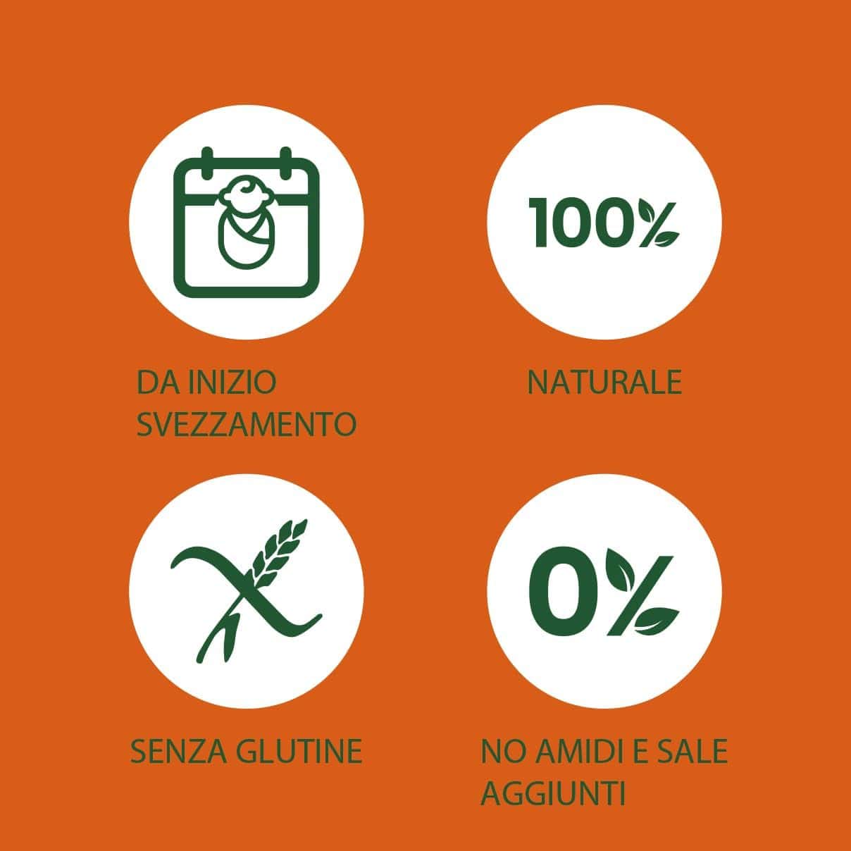 PLASMON OMOGENEIZZATO CECI & ZUCCA 2 X 80 GR - immagine 3