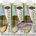SANCRISPINO BRIK BIANCO 3X250ML