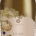VERNICE GLAM FIANO DOCG 75CL