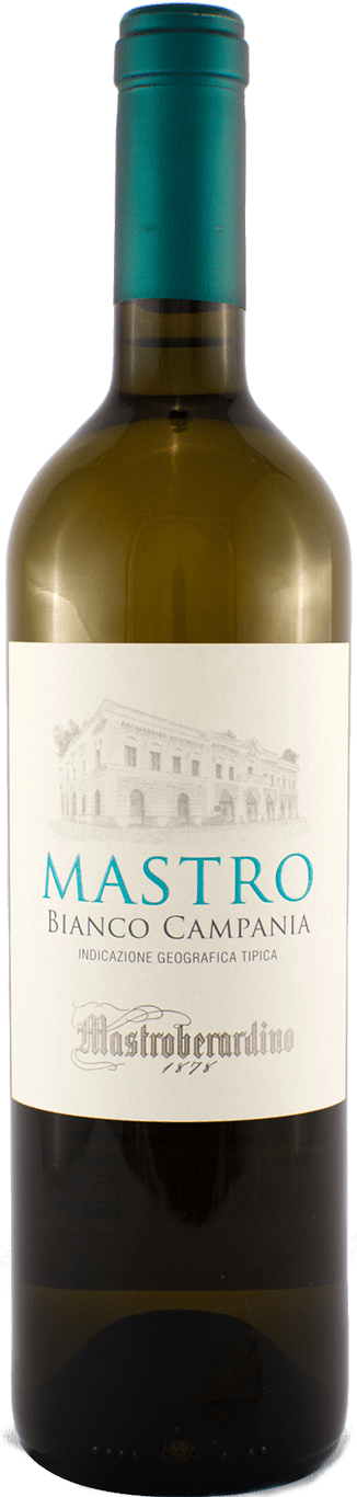 MASTROBERARDINO MASTRO CAMPANIA BIANCO IGT 75CL